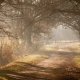 De volgende stap wandeling december