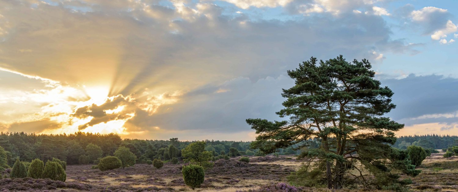 De volgende stap wandeling - augustus