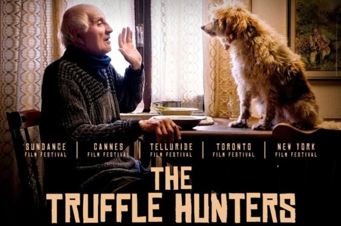the truffle hunters